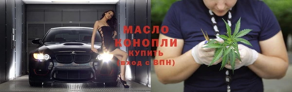 сатива Беломорск