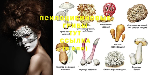 тгк Магадан