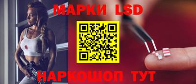 стафф Лесосибирск