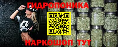 стафф Лесосибирск