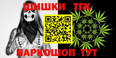 стафф Лесосибирск