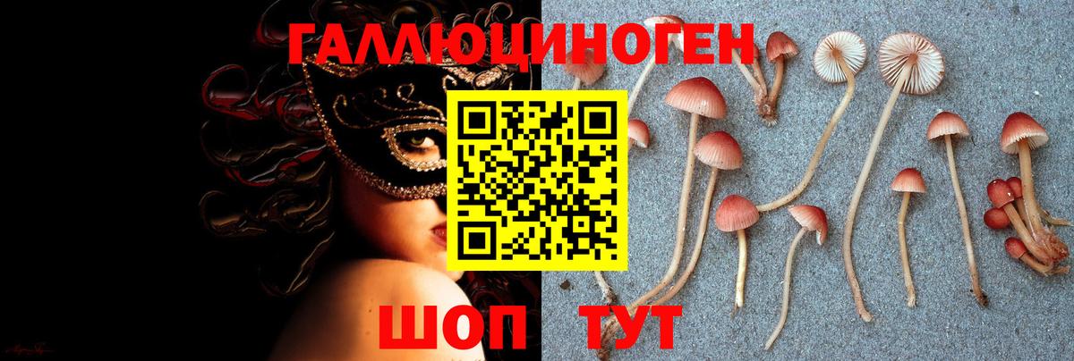 Химки  Псилоцибиновые грибы мицелий  Вход с VPN 