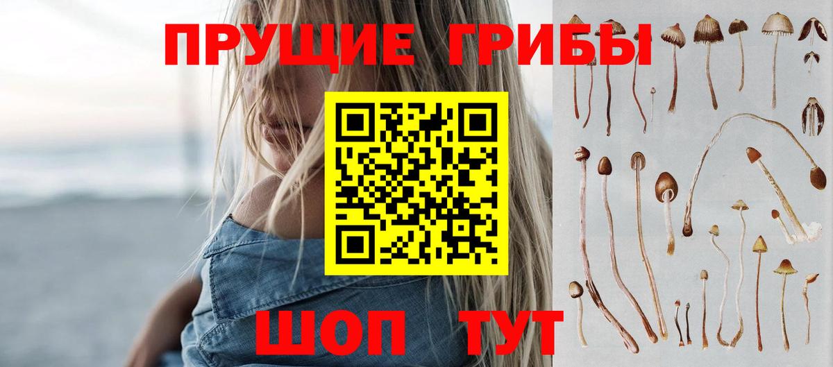 Галлюциногенные грибы Psilocybe Химки